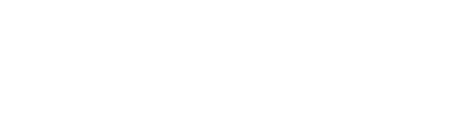 logo nicoletta 2024