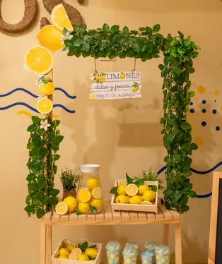 Lemon stand framed with vines at Piccolitos